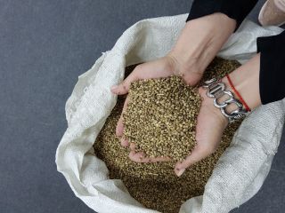 • Hemp seeds for food - 185 tons Fat
