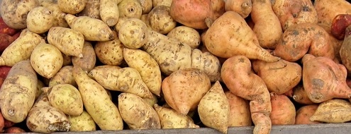 I will sell BATAT industrial, origin: Spain, size: 600 gr +, packaging: Big bag ~ 1000 kg, price to be determined