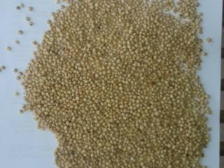 We will sell next grains: wheat, maize, soy, soybean
