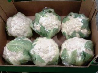 I will sell cauliflower: - 1st class, import from