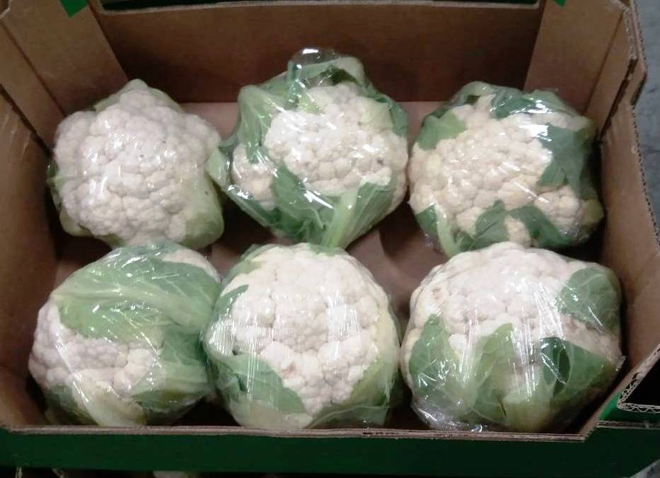 I will sell cauliflower: - 1st class, import from Spain, - 6 pcs / carton, weight of the head approx
