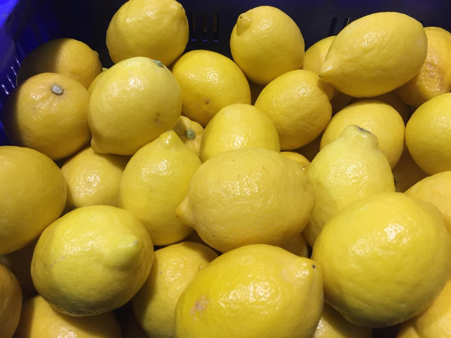 I will sell a lemon, import from Spain, primafiori, nice, fresh, first class