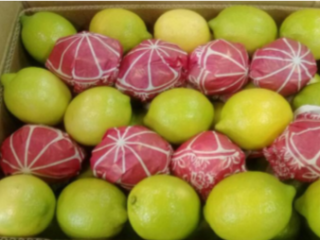 I will sell CYTRYNY, 3/4/5. Country of origin Portugal.