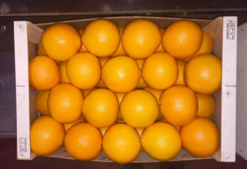 ORANGE, 3/4/5 for sale