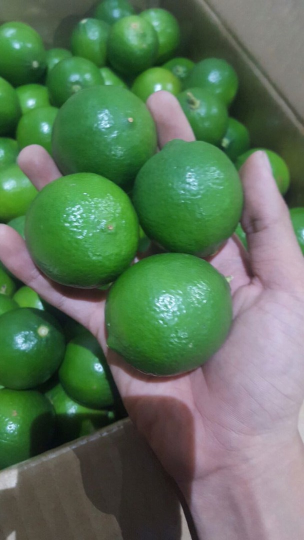 Limonki Country of origin Vietnam 1500 $ cif Koper