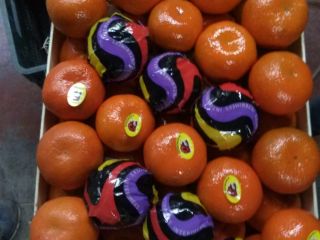 I will sell a mandarin from Turkey cal 1