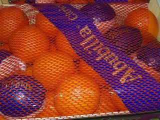 I will sell an orange Es cal 1/24 to