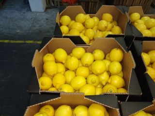 Fresh lemon, pretty, first class, import from Spain, 5-10