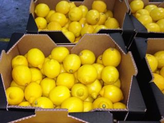I will sell a lemon, import from Spain, nice,