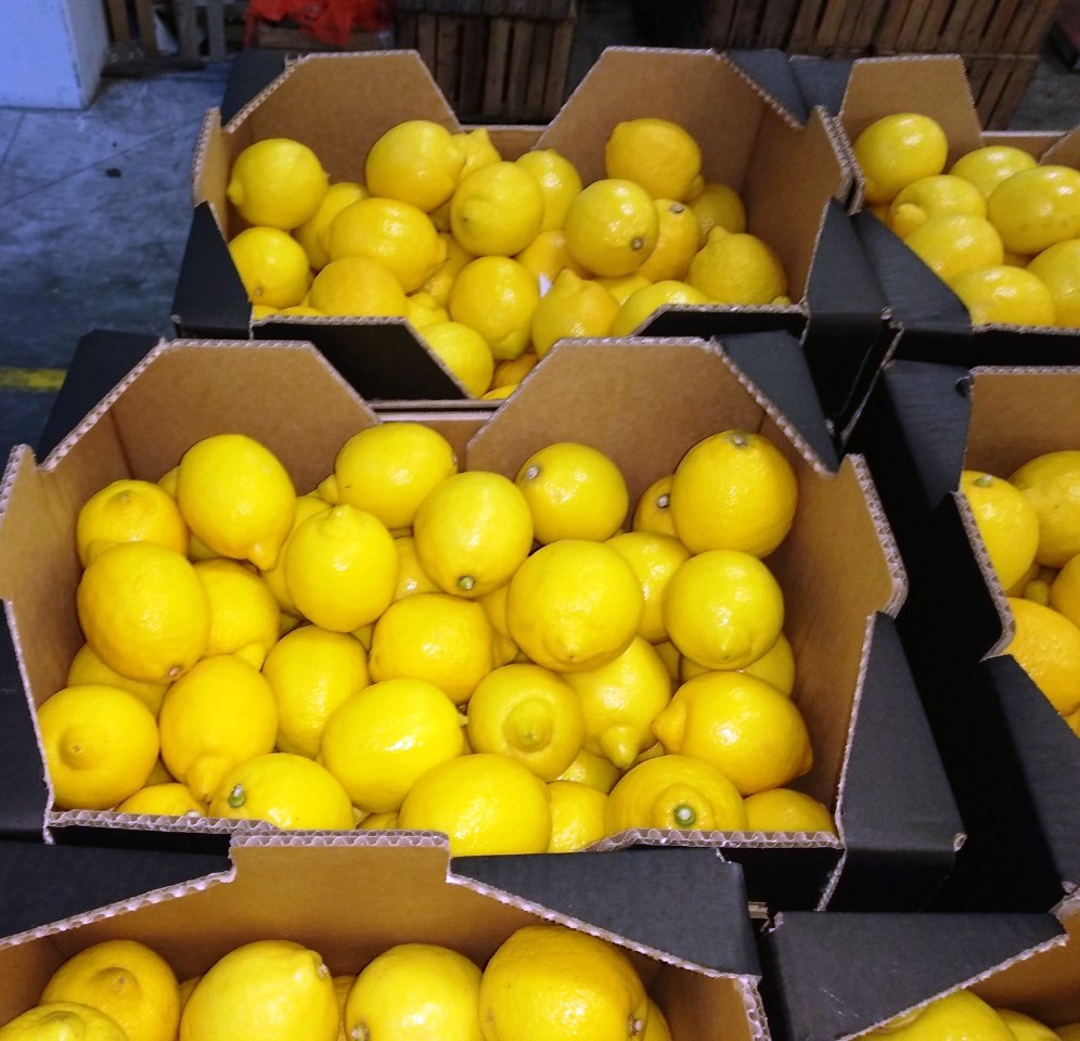 I will sell a lemon, import from Spain, nice, fresh, class 1