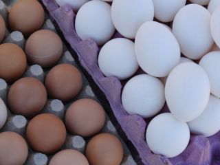 Ukraine. Eggs for dietary hens from 1.7l pack of