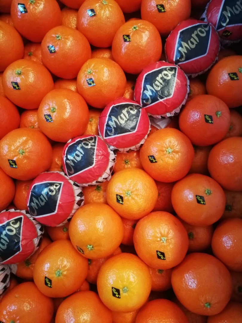 Clementine from Morocco