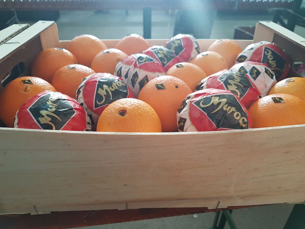 Orange Navel Lane Late from Morocco
