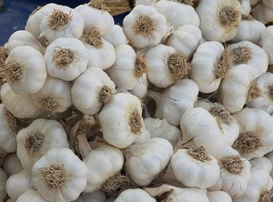 Odmiana: czysty biały czosnek i normalny biały czosnek Cała i silna tekstura Rozmiary: 4-5cm, 5,5cm, 6cm, 6,5cm i więcej Dostępność: sezon chłodniczy: od