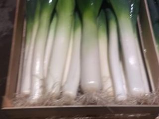 I will sell a leek in a 2-3 or