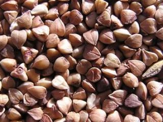 Ukraine. Buckwheat honey 0,8 zl / kg, groats 1