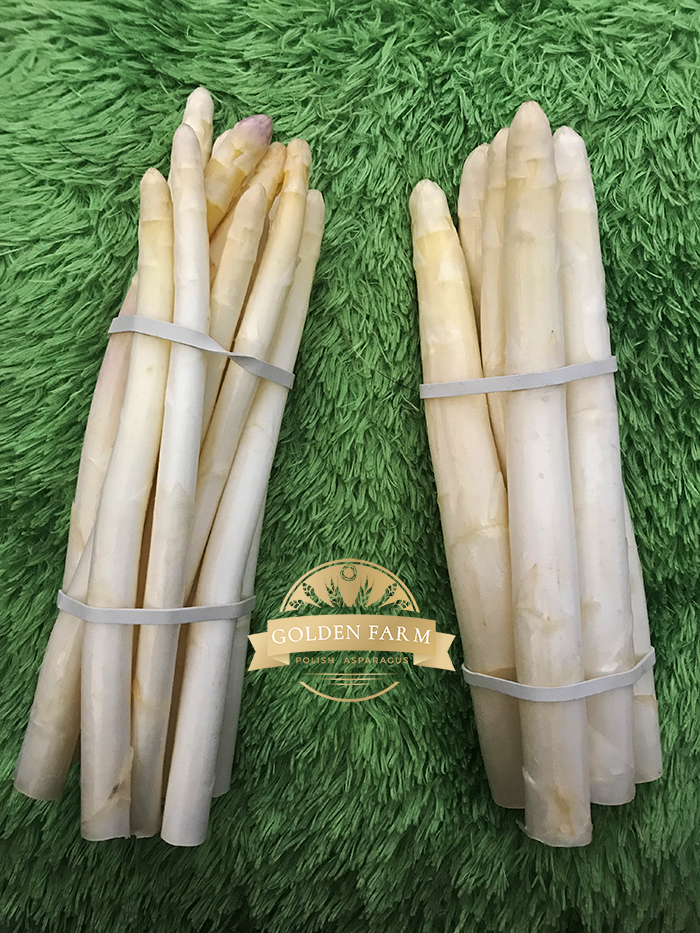 Ladies and gentlemen, the Polish producer cordially invites you to cooperate and buy white as well as green asparagus in wholesale quantities
