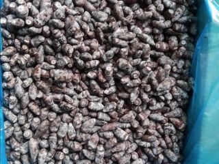 I will sell frozen berries of Kamchatka berries, Wojtek
