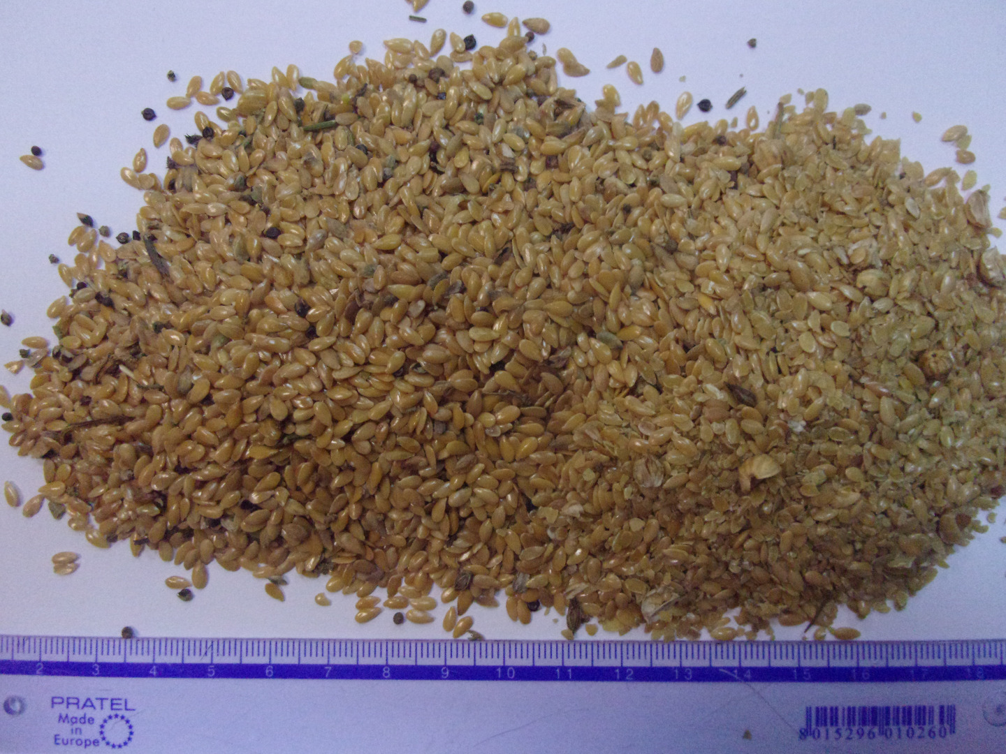 for sale flax gold II grade, quality compatible with the photo, we accept orders over 1 ton, more details at the given phone number