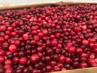 Class A Organic Certificate. The product is freshly frozen.