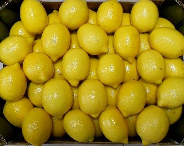 Fresh Lemon for sale contact us via email or whatsApp for more information