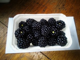 I will sell thornfree blackberry in any packaging, depending