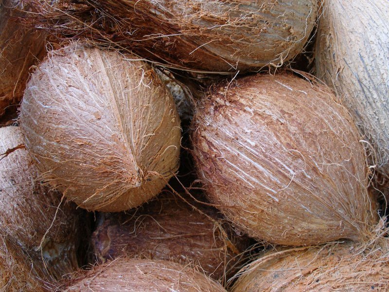 i will sell Semi Husked Coconut from Germany, ( ) Moisture :< 7% Fiber:+/- 14% FFA:0.05- 1.55% Oil Content:> 60% Coconut copra Style:Dried Drying Preservation