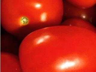 whatsapp for more details: Specifications: Product Fresh Tomatoes Place