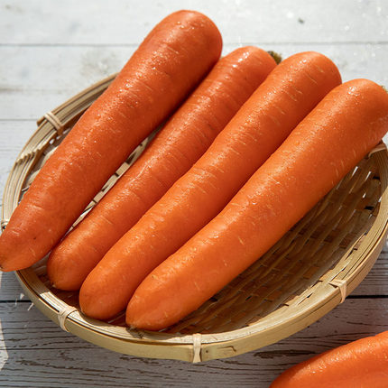 Fresh carrots for sale All available varieties please contact us via e-mail or whatsApp for more information