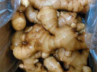 Fresh ginger for sale All available varieties please contact