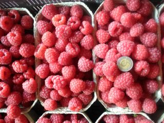I will sell dessert raspberries, protected against gray mold