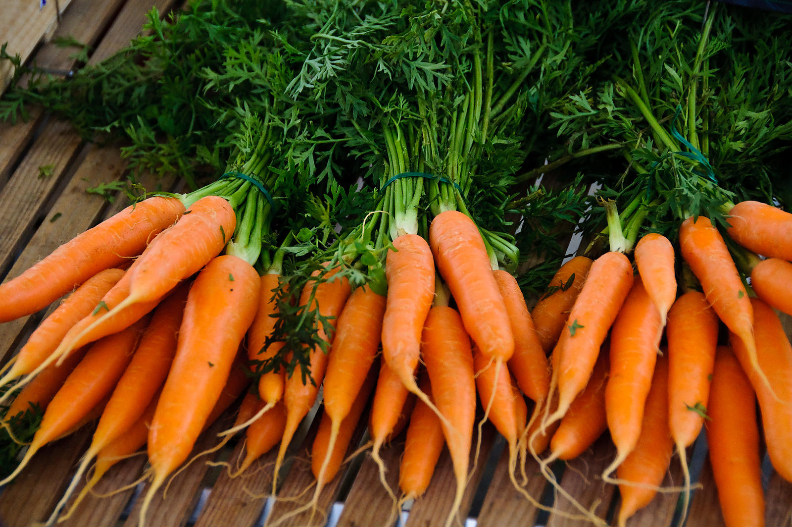 Carrots of all sizes with the best prices, which includes shipping and VAT