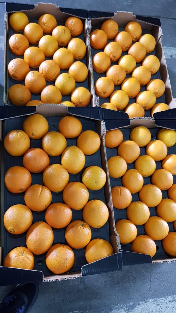 I WILL SELL ORANGE, ORANGE, VARIETY - VALUE PRICE WITH DELIVERY IN POLAND! KALIBER: 7-8 - 3.44 PLN / kg net 5-6 - 3.60 PLN / kg net 3-4 - 4.20 PLN / kg net