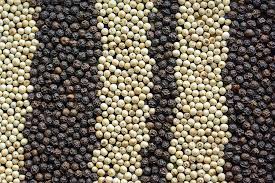 we supply white pepper and black pepper ecologically cultivated