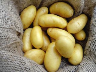Old potatoes 15kg, 25kg, the price excluding VAT includes