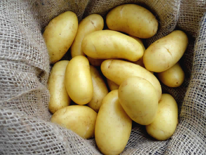 Old potatoes 15kg, 25kg, the price excluding VAT includes the delivery of