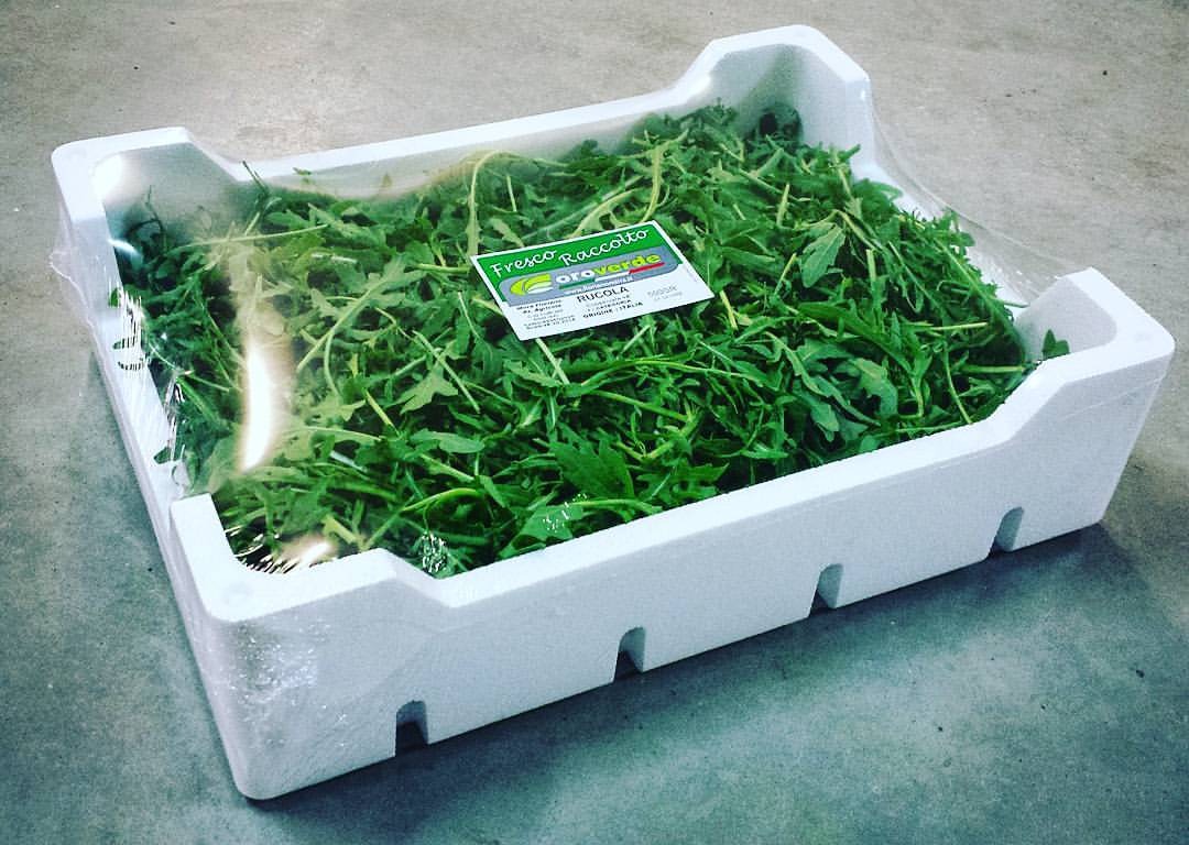 Rucola! Contact us for more informations! We are Floriano Mirra, in south of Italy