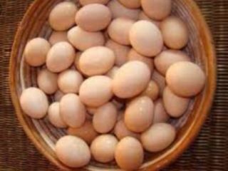 I will sell eggs from the free range of