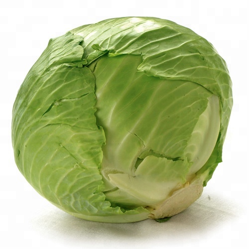 Fresh cabbage for sale All available cabbage varieties please contact us via e-mail or whatsApp for more information