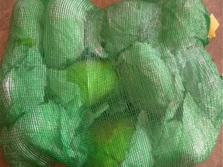Fresh avocado sale All available cabbage varieties please contact