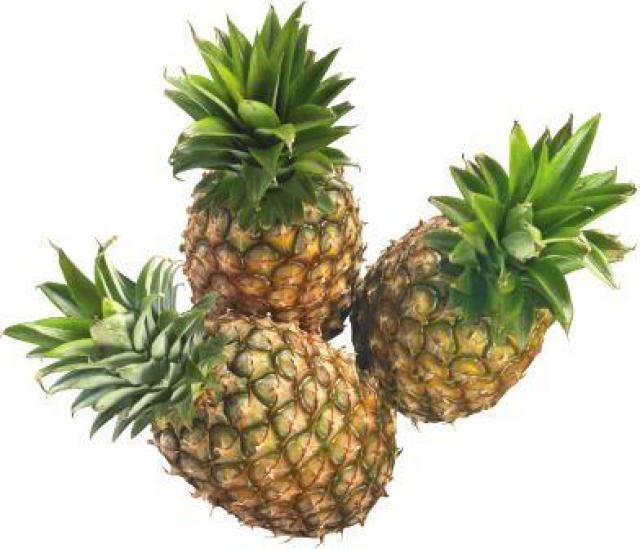 Fresh pineapples for sale All varieties please contact us via e-mail or whatsApp for more information