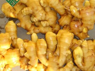 Fresh ginger, fresh ginger, dry ginger supplier for sale.