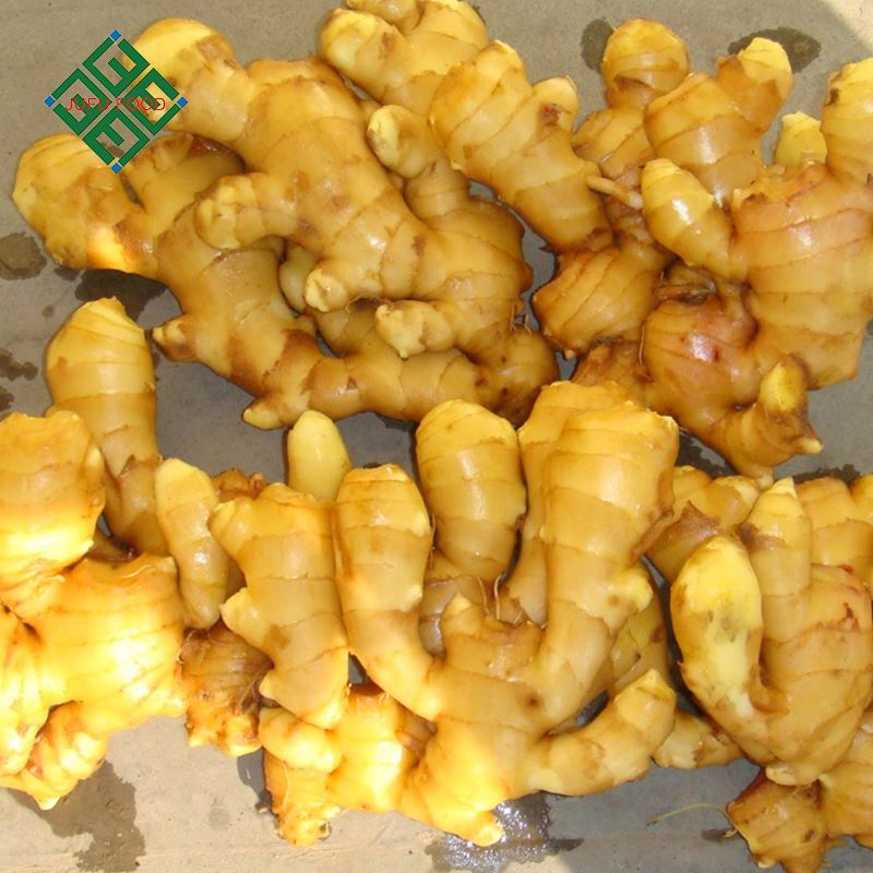 Fresh ginger, fresh ginger, dry ginger supplier for sale