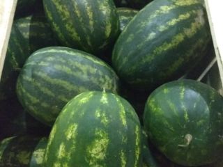 I will sell watermelon Fresh delivery - 10.05 Sweet