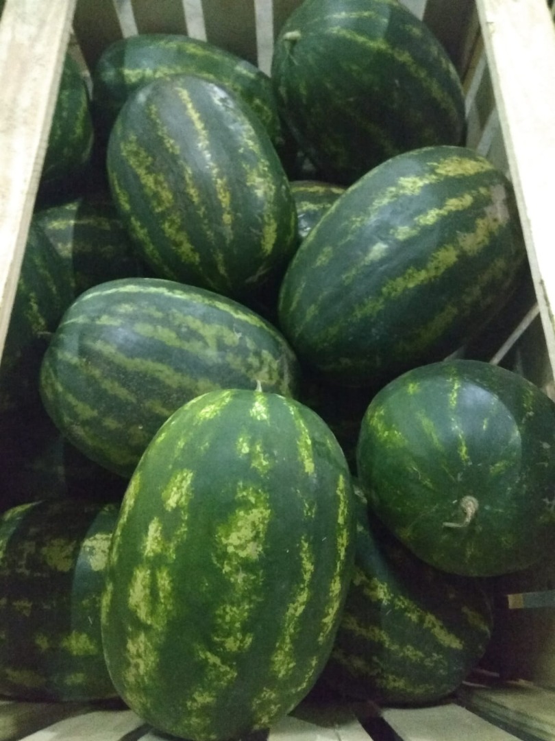I will sell watermelon Fresh delivery - 10.05 Sweet and juicy BRIX (sweetness) minimum 14+ Caliber: 4-12kg We sell from 1 piece to the amount of pallets