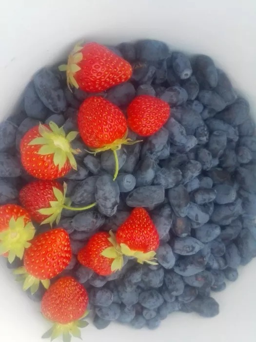 I offer fruit of honeyberry for sale