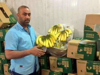 WIETNAM ŚWIEŻE CAVENDISH BANANA WYSOKA JAKOŚĆ Whatsapp
