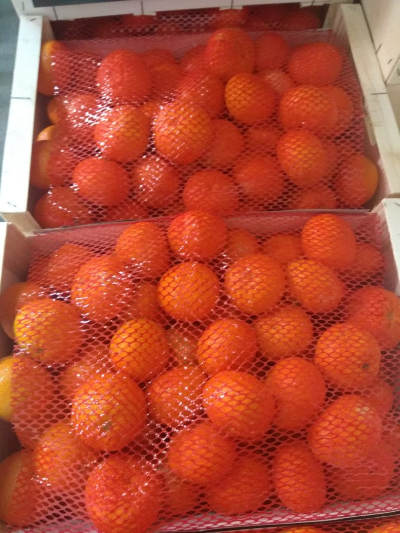 I will sell mandarin Ortanique packing 10kg wood