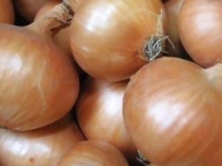 fresh onion: 1. Origin: Germany 2. packaging: 10 kg