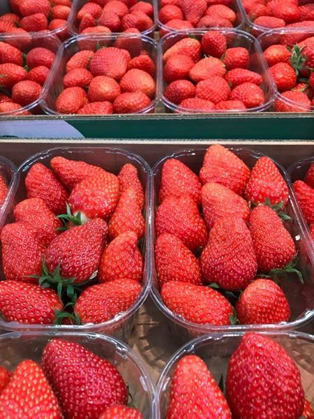 Fresh strawberries for sale All available varieties please contact us via e-mail or whatsApp for more information